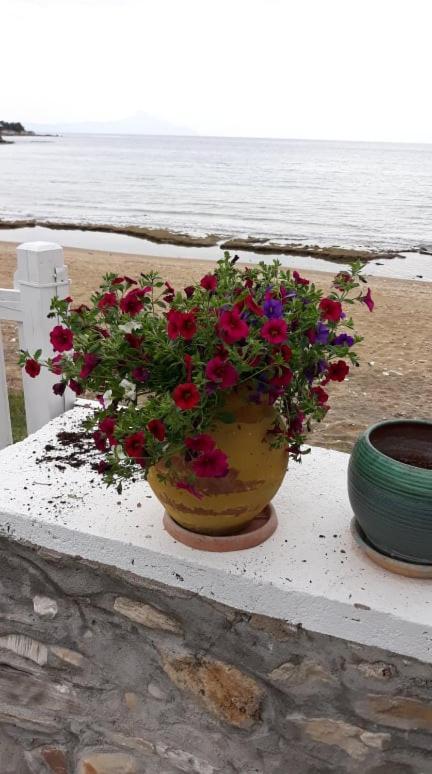 House Kokkalas On The Beach Pyrgadikia Exterior foto